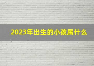 2023年出生的小孩属什么