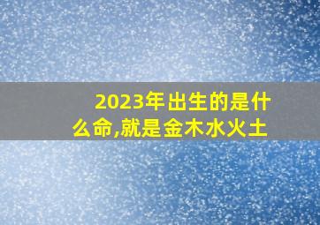 2023年出生的是什么命,就是金木水火土