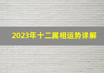 2023年十二属相运势详解