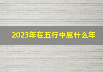 2023年在五行中属什么年