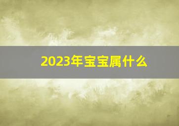 2023年宝宝属什么