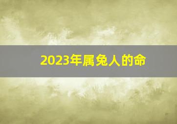 2023年属兔人的命