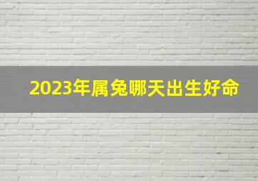 2023年属兔哪天出生好命