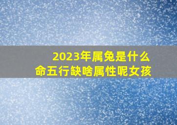 2023年属兔是什么命五行缺啥属性呢女孩