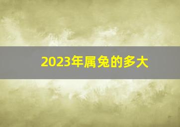 2023年属兔的多大