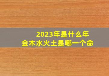 2023年是什么年金木水火土是哪一个命