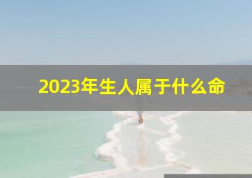 2023年生人属于什么命