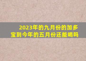 2023年的九月份的加多宝到今年的五月份还能喝吗