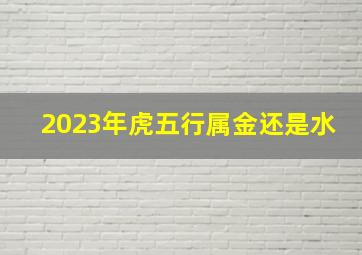 2023年虎五行属金还是水