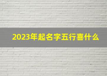 2023年起名字五行喜什么