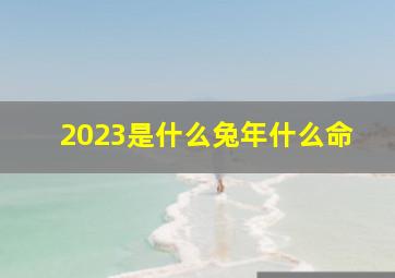 2023是什么兔年什么命