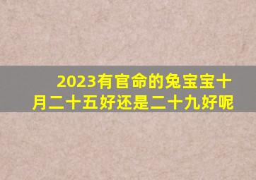 2023有官命的兔宝宝十月二十五好还是二十九好呢