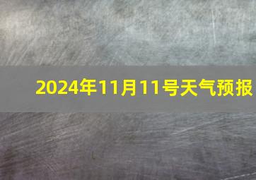 2024年11月11号天气预报