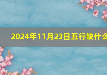 2024年11月23日五行缺什么