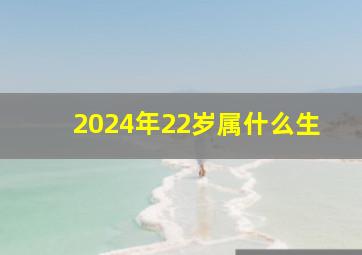 2024年22岁属什么生