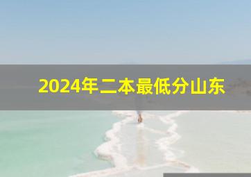 2024年二本最低分山东