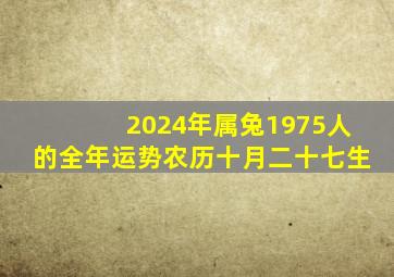 2024年属兔1975人的全年运势农历十月二十七生