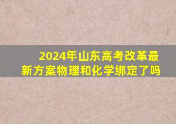 2024年山东高考改革最新方案物理和化学绑定了吗