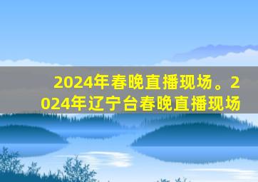 2024年春晚直播现场。2024年辽宁台春晚直播现场