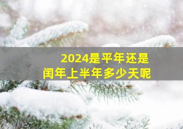 2024是平年还是闰年上半年多少天呢