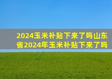 2024玉米补贴下来了吗山东省2024年玉米补贴下来了吗