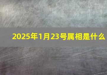 2025年1月23号属相是什么