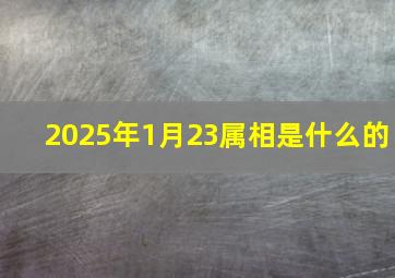 2025年1月23属相是什么的