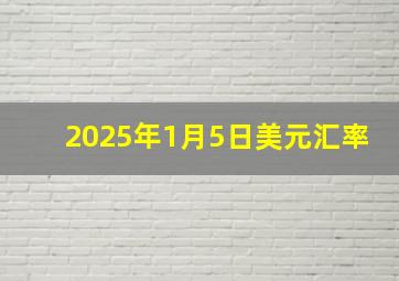 2025年1月5日美元汇率