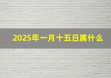 2025年一月十五日属什么