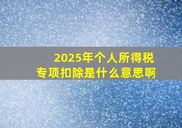 2025年个人所得税专项扣除是什么意思啊