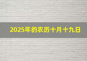 2025年的农历十月十九日