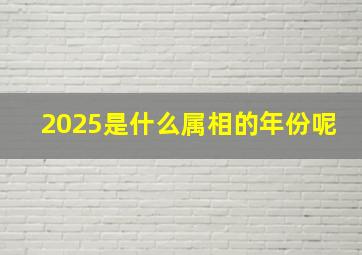 2025是什么属相的年份呢