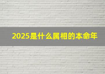 2025是什么属相的本命年