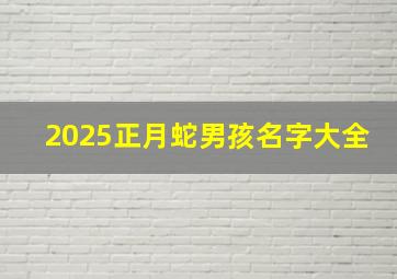 2025正月蛇男孩名字大全