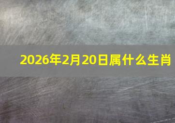 2026年2月20日属什么生肖