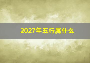 2027年五行属什么