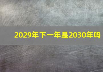 2029年下一年是2030年吗