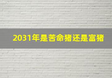 2031年是苦命猪还是富猪