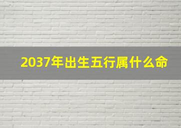 2037年出生五行属什么命