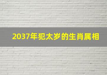 2037年犯太岁的生肖属相