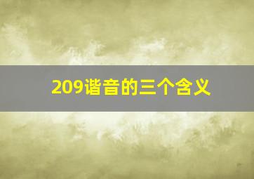 209谐音的三个含义