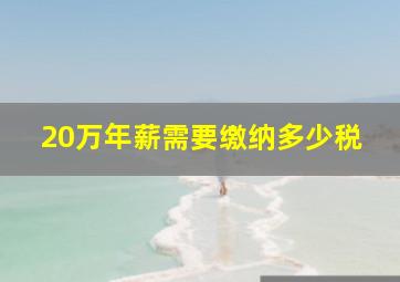 20万年薪需要缴纳多少税