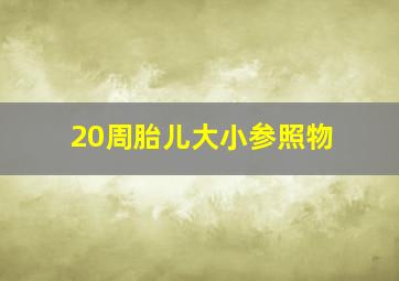 20周胎儿大小参照物