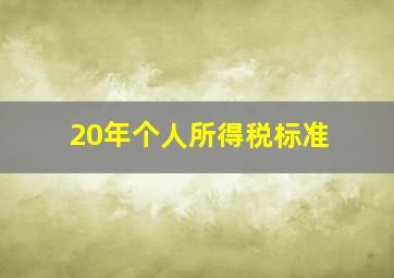 20年个人所得税标准