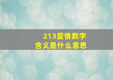 213爱情数字含义是什么意思