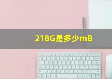 218G是多少mB