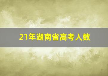 21年湖南省高考人数