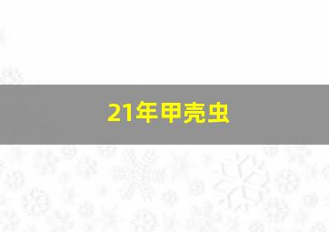 21年甲壳虫