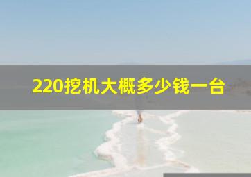 220挖机大概多少钱一台