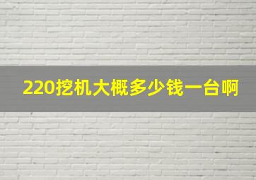 220挖机大概多少钱一台啊